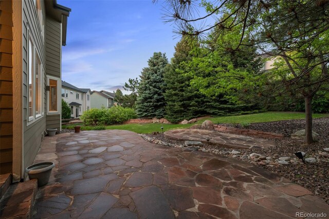 10524 Serengeti Dr, Lone Tree, CO 80124 - view of patio / terrace