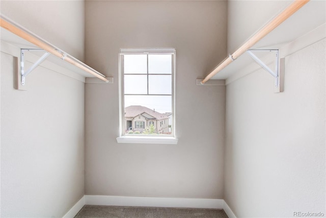9571 Yucca Ct, Arvada, CO 80007 - walk in closet featuring carpet flooring