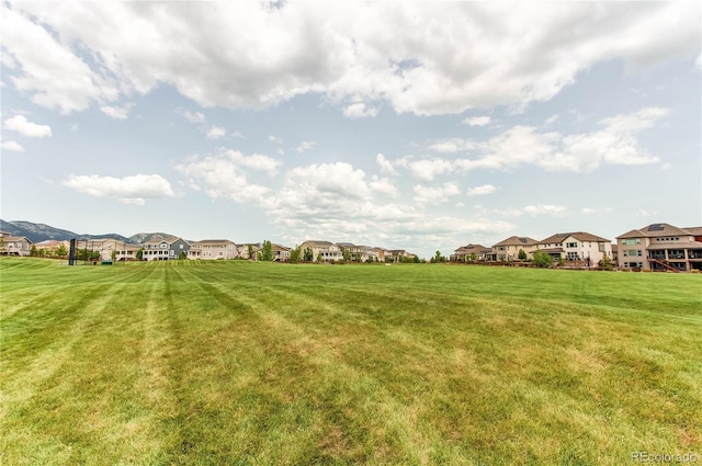 9571 Yucca Ct, Arvada, CO 80007 - view of grassy yard with a residential view