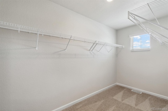 spacious closet featuring carpet floors