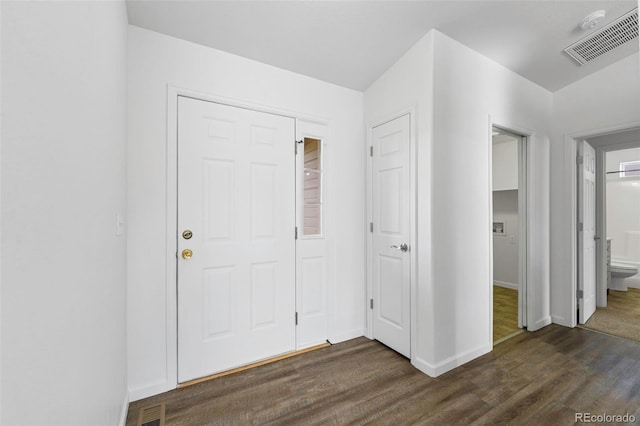 foyer entrance featuring dark wood-type flooring