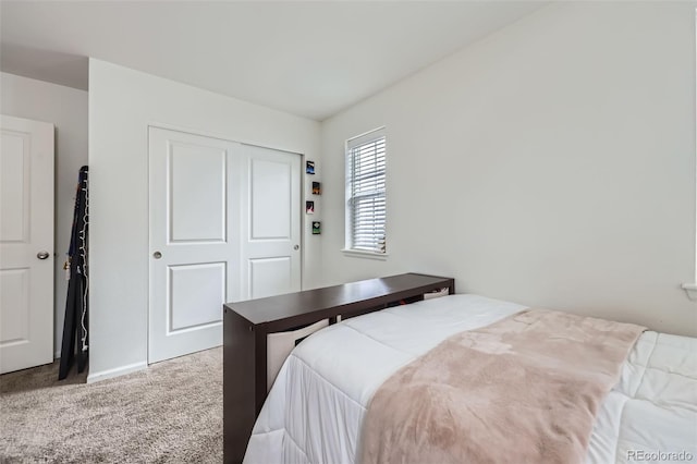 bedroom featuring carpet and a closet