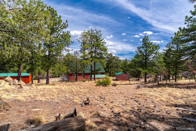 1136 Bird Point Dr, Cotopaxi, CO 81223 - photo 5