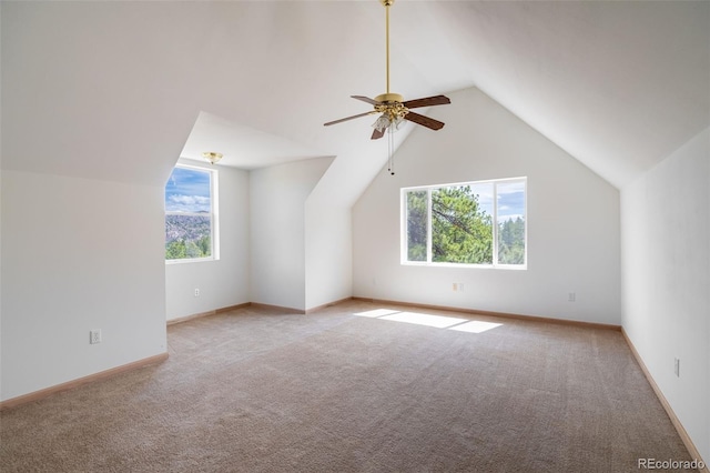 1136 Bird Point Dr, Cotopaxi, CO 81223 - photo 19