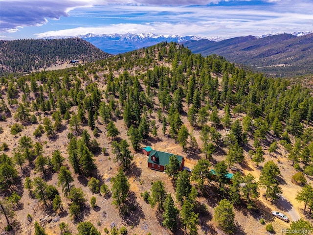 1136 Bird Point Dr, Cotopaxi, CO 81223 - photo 34