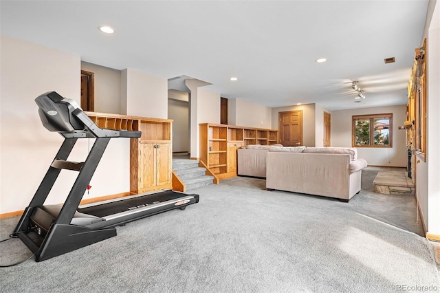 workout area with light carpet