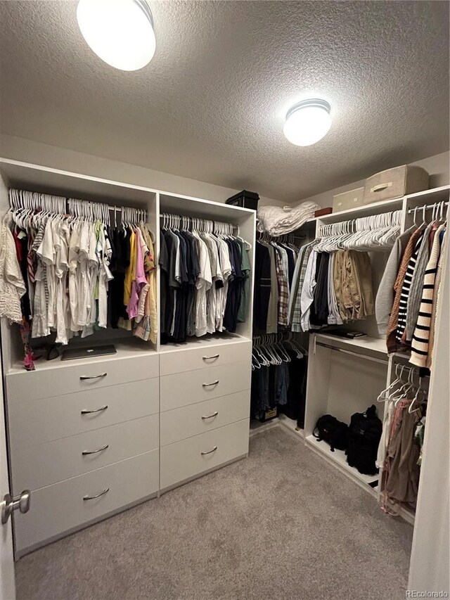 12901 Crane River Dr, Longmont, CO 80504 - walk in closet with carpet floors