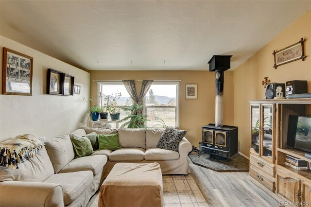 15980 County Road 306, Buena Vista, CO 81211 - living area with a wood stove and light wood-style flooring