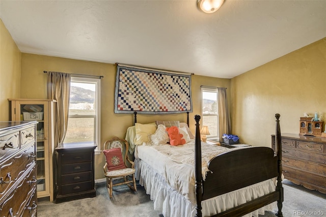 15980 County Road 306, Buena Vista, CO 81211 - bedroom featuring carpet floors