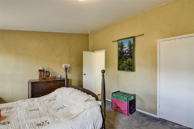 15980 County Road 306, Buena Vista, CO 81211 - carpeted bedroom with baseboards