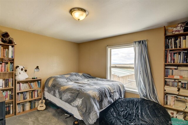 15980 County Road 306, Buena Vista, CO 81211 - bedroom with carpet