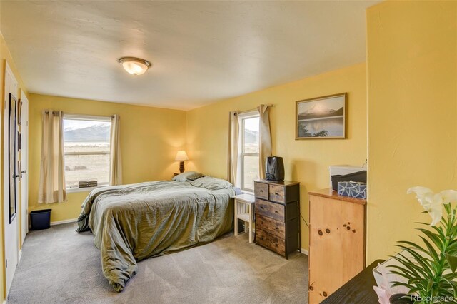 15980 County Road 306, Buena Vista, CO 81211 - carpeted bedroom with baseboards