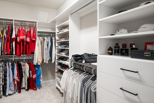 695 Simmental Loop, Castle Rock, CO 80104 - spacious closet with carpet floors
