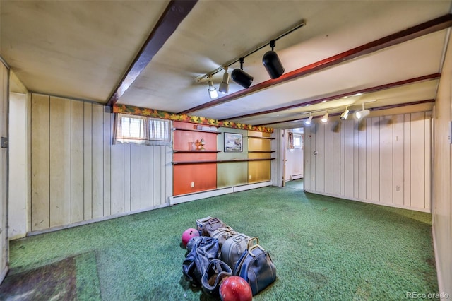 basement with carpet floors, wood walls, baseboard heating, and track lighting