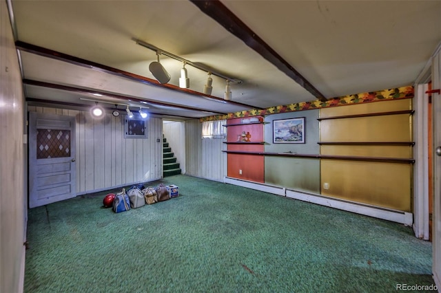 basement featuring carpet, wood walls, and a baseboard radiator