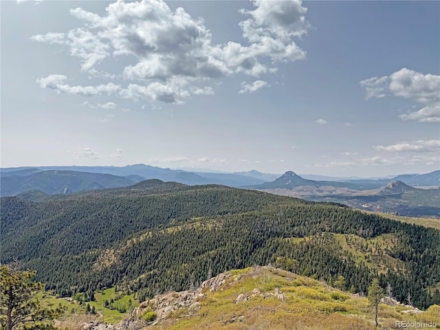 14440 Eagle Vista Dr, Littleton, CO 80127 - photo 34