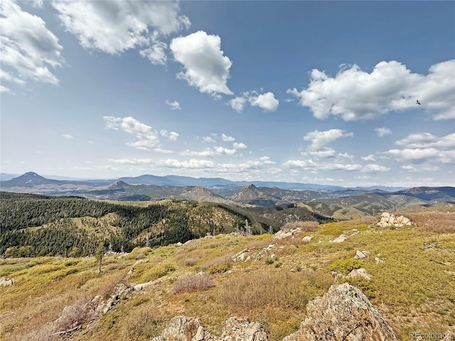 14440 Eagle Vista Dr, Littleton, CO 80127 - photo 36