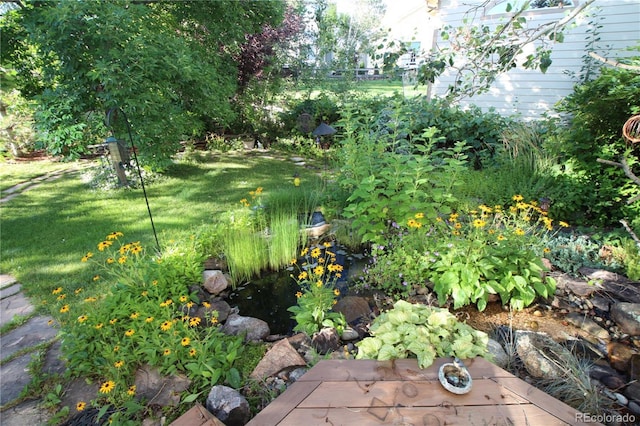 248 Summit Trl, Broomfield, CO 80020 - view of yard