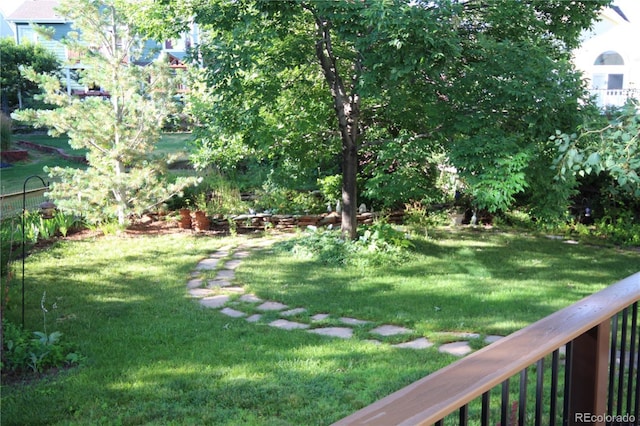 248 Summit Trl, Broomfield, CO 80020 - view of yard