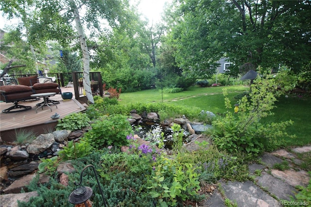 248 Summit Trl, Broomfield, CO 80020 - view of yard with a wooden deck