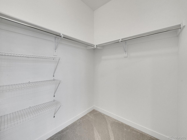 2059 S Vance Way, Denver, CO 80227 - walk in closet with light colored carpet
