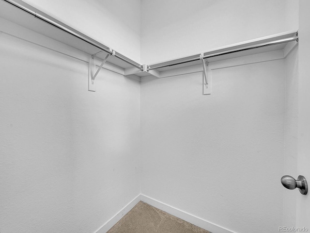 2059 S Vance Way, Denver, CO 80227 - walk in closet featuring carpet flooring
