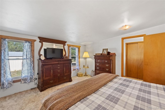 10000 State Highway 96, Westcliffe, CO 81252 - bedroom featuring multiple windows and carpet