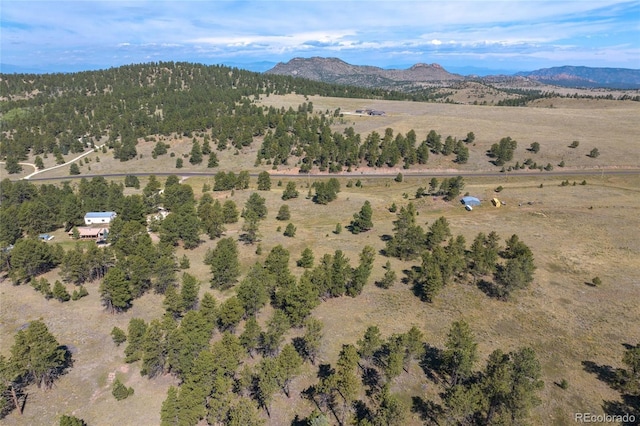 birds eye view of property with a mountain view