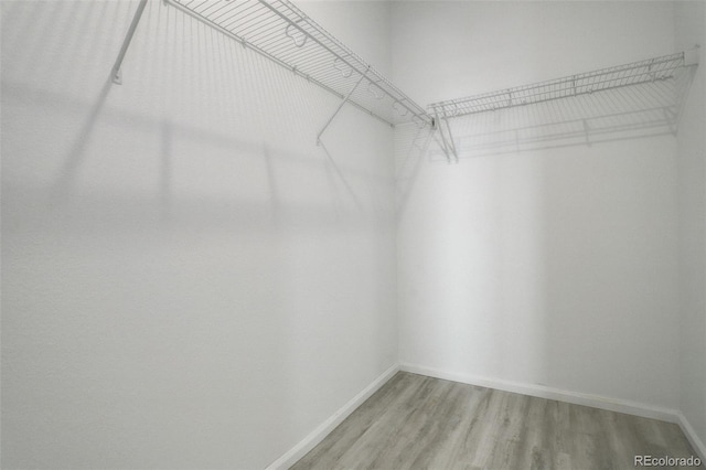 walk in closet featuring light wood-type flooring