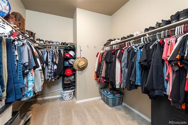 19468 E 65th Pl, Aurora, CO 80019 - walk in closet with carpet floors