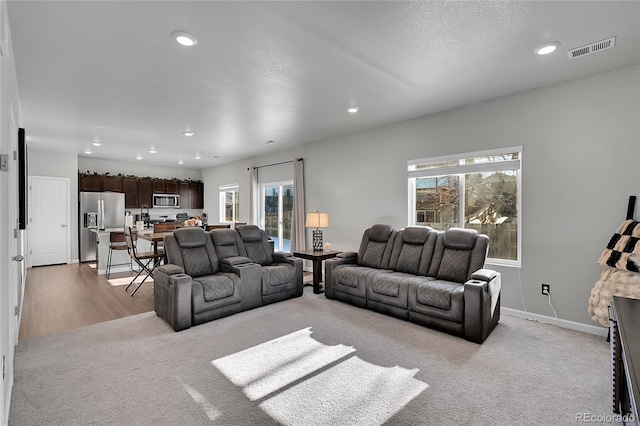 carpeted living room featuring a healthy amount of sunlight and a textured ceiling