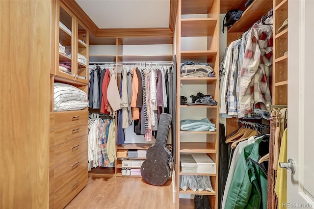 spacious closet featuring wood finished floors