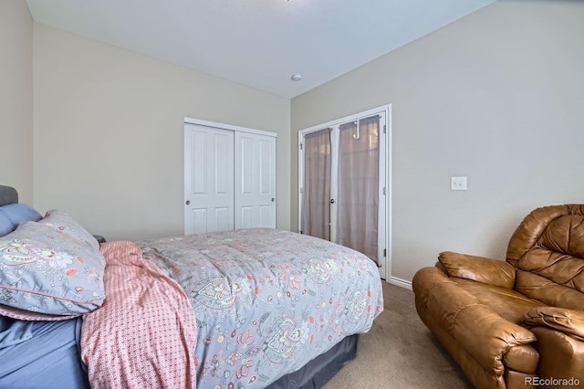 14096 Roaring Fork Cir, Broomfield, CO 80023 - bedroom with carpet floors and a closet