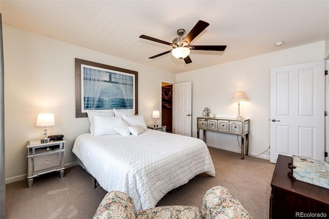 12116 Desert Hills St, Parker, CO 80138 - photo 33