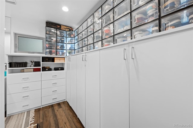 spacious closet featuring dark wood-style flooring