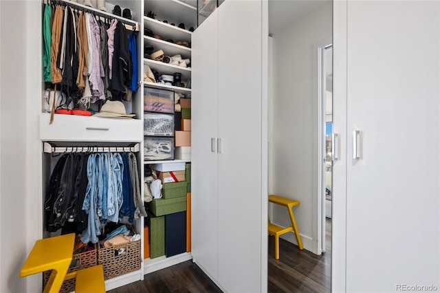 view of closet