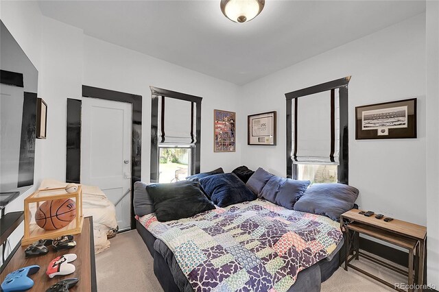 444 S Pearl St, Denver, CO 80209 - bedroom with light carpet