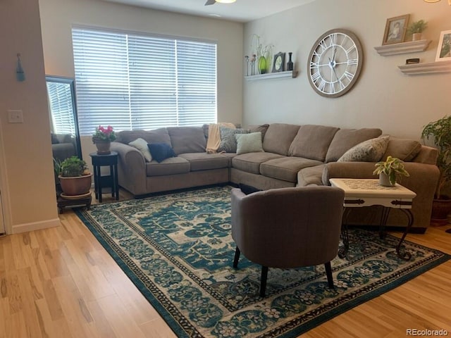 living room with hardwood / wood-style flooring and ceiling fan