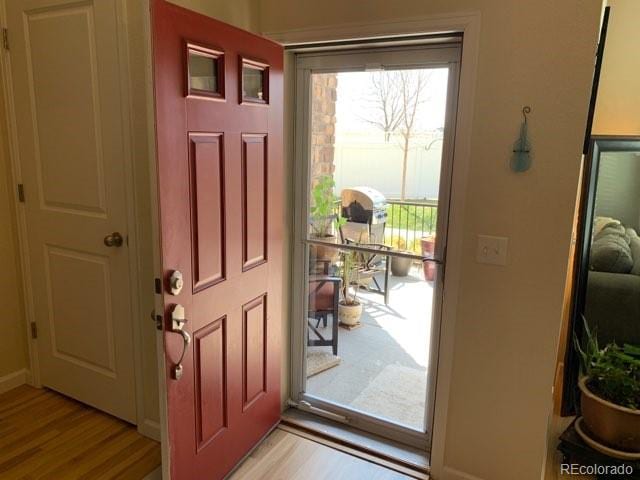 foyer entrance featuring light hardwood / wood-style flooring and a healthy amount of sunlight