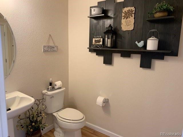 bathroom with hardwood / wood-style flooring and toilet