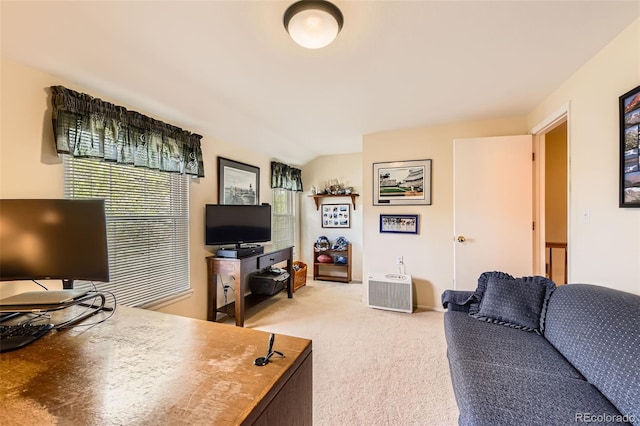 office featuring light colored carpet