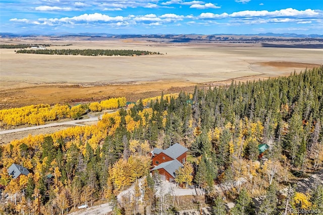 1666 High Creek Rd, Fairplay, CO 80440 - drone / aerial view of a mountain backdrop and a forest