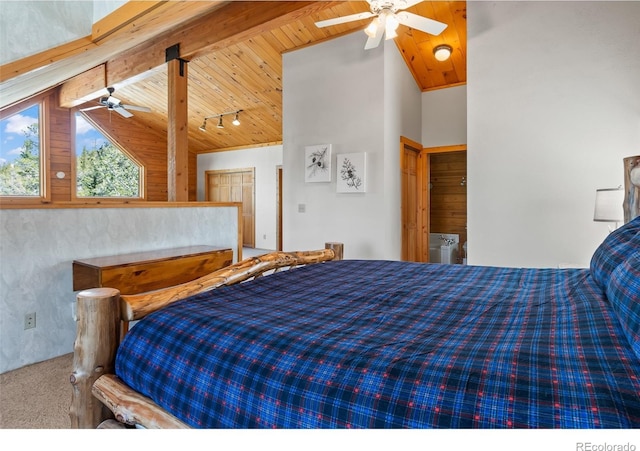 1666 High Creek Rd, Fairplay, CO 80440 - bedroom with carpet floors and wooden ceiling