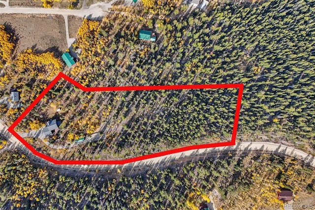 1666 High Creek Rd, Fairplay, CO 80440 - aerial overview of property's location featuring property boundaries highlighted