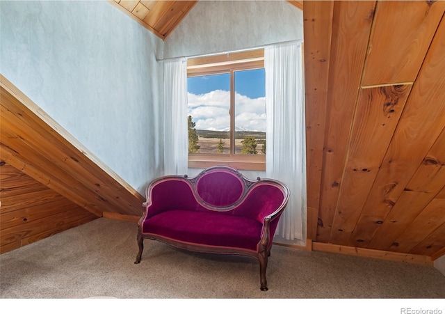 1666 High Creek Rd, Fairplay, CO 80440 - living area with lofted ceiling and carpet flooring