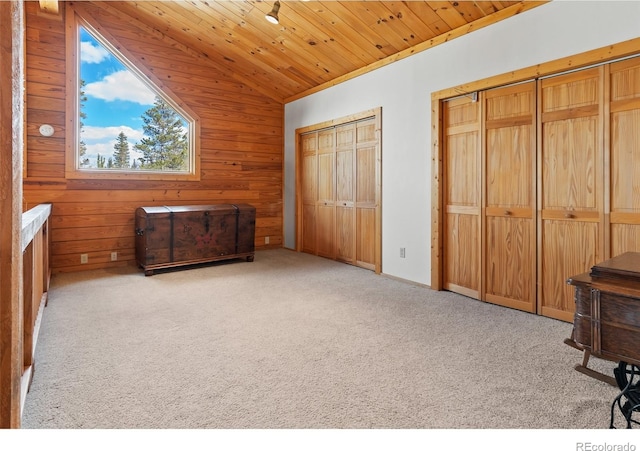 1666 High Creek Rd, Fairplay, CO 80440 - unfurnished bedroom featuring multiple closets, wood walls, carpet floors, vaulted ceiling, and wooden ceiling