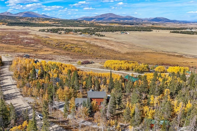 1666 High Creek Rd, Fairplay, CO 80440 - mountain view