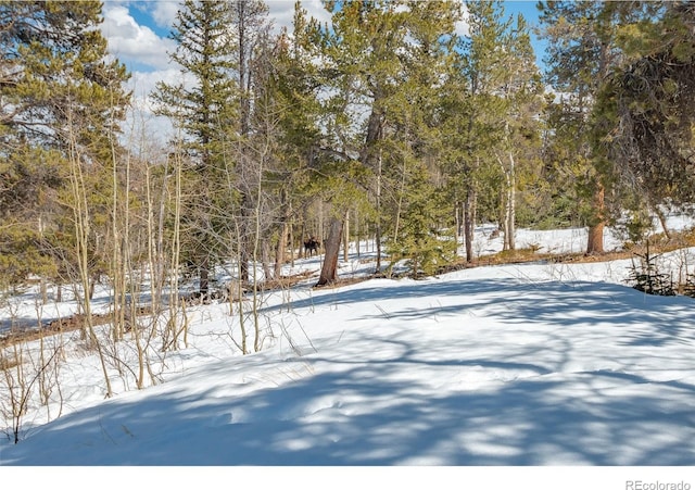 1666 High Creek Rd, Fairplay, CO 80440 - view of yard layered in snow