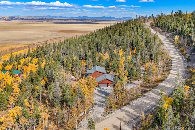 1666 High Creek Rd, Fairplay, CO 80440 - aerial view of property and surrounding area with a mountain backdrop and a forest