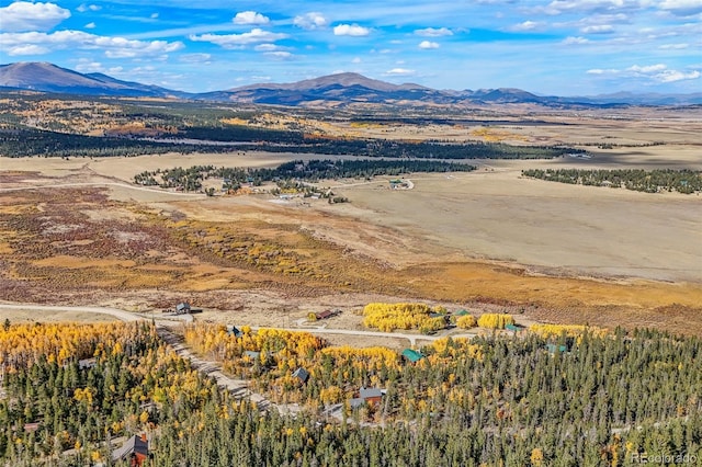 1666 High Creek Rd, Fairplay, CO 80440 - view of mountain background